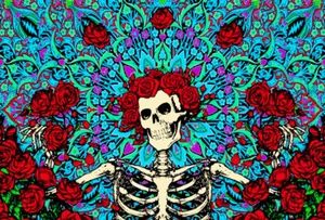 Meet your Posher, Maryann